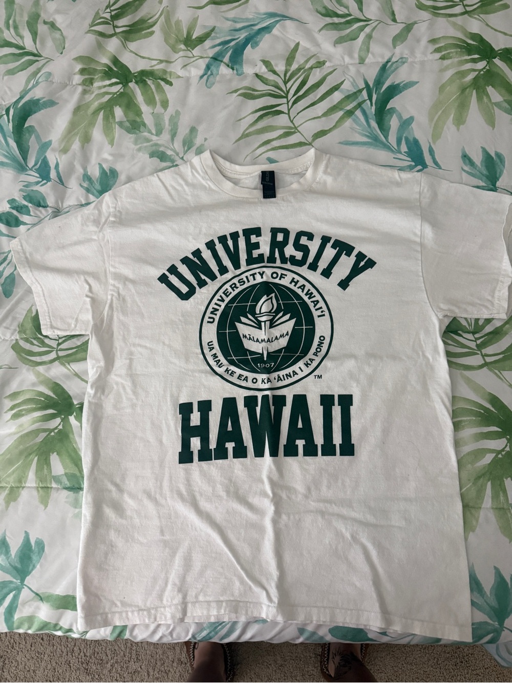 Gildan White T-Shirt with Dark Green University of Hawaii Graphic